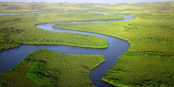 Virgin Forests Around a River | Dan Roizer | The Gambia | November 2015 | Unsplash